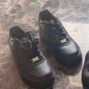 Meet your Posher, Harry